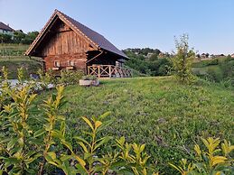 Vineyard cottage Vinska grajska kašča