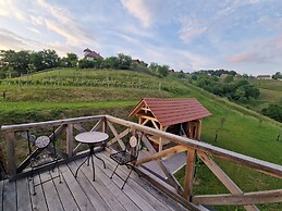 Vineyard cottage Vinska grajska kašča