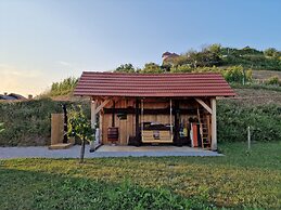 Vineyard cottage Vinska grajska kašča