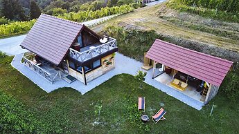 Vineyard cottage Vinska grajska kašča