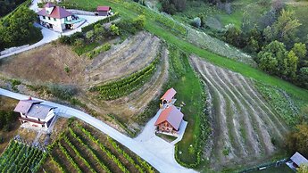 Vineyard cottage Vinska grajska kašča