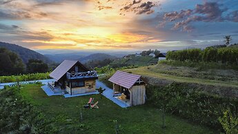 Vineyard cottage Vinska grajska kašča