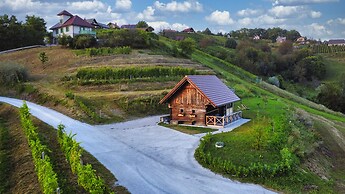 Vineyard cottage Vinska grajska kašča