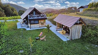 Vineyard cottage Vinska grajska kašča