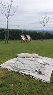 Vineyard cottage Lan na Hribu