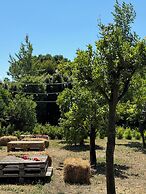 Villa De Cillis Carafa