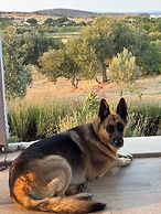 Zeus kır evi