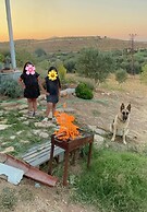 Zeus kır evi