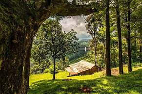 The Crows Nest - Sipi Falls