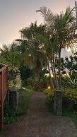Hare Rapa Nui by Chez Joseph