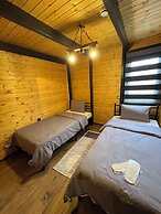 HHZ GREEN LİFE STALL