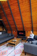 HHZ GREEN LİFE STALL