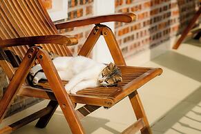 Mai Mountain Homestay