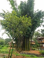 Sterling Vythiri Wayanad