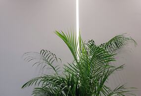 GOLDEN ISLAND RESORTS