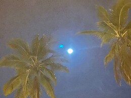 Royal Terrace PRINCE III