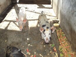 Hotel Fazenda Recanto