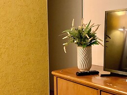 Apartamento Próx Tiete Plaza Shopping