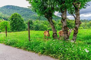 Nel Verde di Rovenza by Wonderful Italy