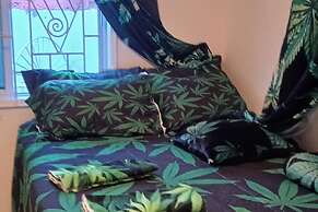 Beautiful 1-bedroom, in St Thomas, Jamaica