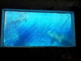 Pacific Sunset Reñaca