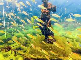 VELINN Pousada Face Norte