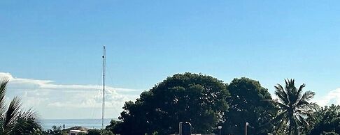 ROYAL TERRACE KING IV