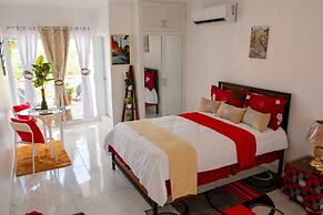 ROYAL TERRACE DUKE V