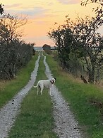 Sodra Gotland 14 bed med Pool