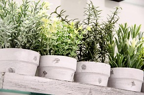 Knightstone Apartment