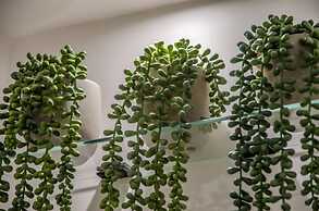 Knightstone Apartment