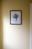 Knightstone Apartment