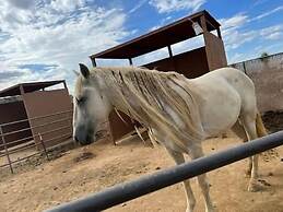 Countryside Spanish Hacienda W/ Spa, Horses, Views by Redawning