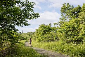The Hava Ubud A Pramana Experience