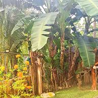 Camotes hidden huts-rooms-bar-restaurant