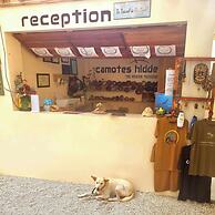 Camotes hidden huts-rooms-bar-restaurant