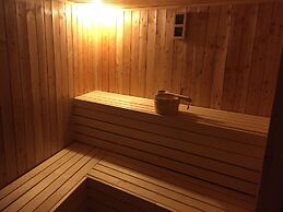 Vulkan Wellness Panzio
