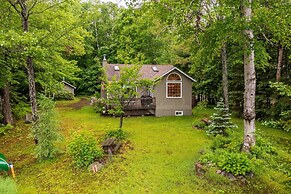 Bear Essentials Lakefront Hideaway