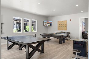 Adventure Awaits in Ocotillo