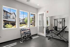 Adventure Awaits in Ocotillo