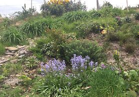 3 Bedroom Home 15 Mins Drive From Kenmare Town