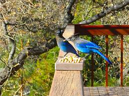 Blue Jay Chalet Unit#5