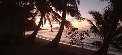 Jaymy Beach Fales