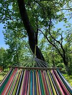 Casutele din Poienita Chalet