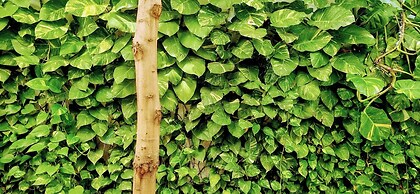 Hotel Casa Sab - San Fernando