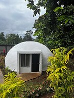 Camp Taveuni