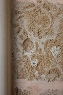 Tenuta Dorolivo Guest House e B&B