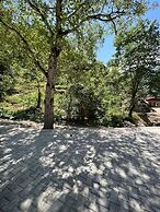 Uzungol Vega Villa Suit