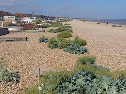 Ocean Front Beach House With Direct Beach Access