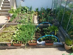 Ocean Front Beach House With Direct Beach Access